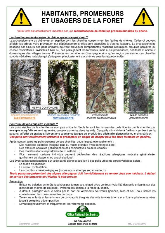 Fiche grand public metz processionnaire du chene page 001